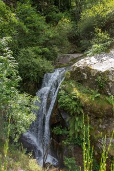 discovery of the eastern Pyrenes, its fauna and flora, region of France