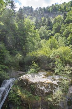 discovery of the eastern Pyrenes, its fauna and flora, region of France