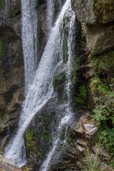 discovery of the eastern Pyrenes, its fauna and flora, region of France