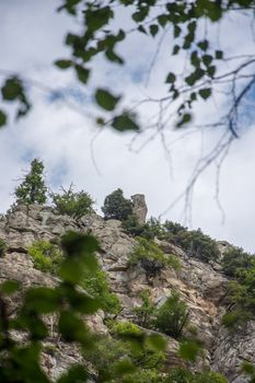 discovery of the eastern Pyrenes, its fauna and flora, region of France