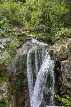 discovery of the eastern Pyrenes, its fauna and flora, region of France