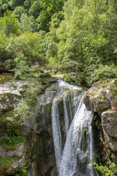 discovery of the eastern Pyrenes, its fauna and flora, region of France