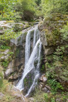 discovery of the eastern Pyrenes, its fauna and flora, region of France