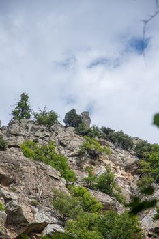 discovery of the eastern Pyrenes, its fauna and flora, region of France