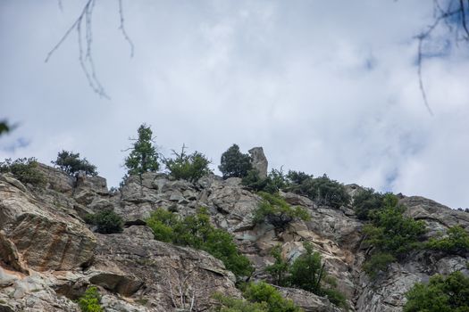 discovery of the eastern Pyrenes, its fauna and flora, region of France