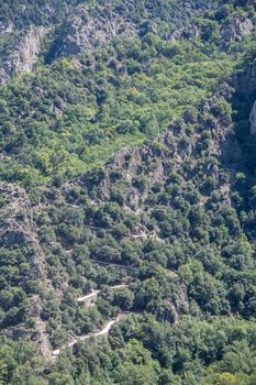 discovery of the fauna and flora of Pyrenes, France