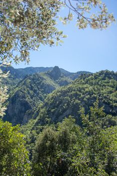 discovery of the fauna and flora of Pyrenes, France