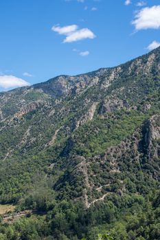 discovery of the fauna and flora of Pyrenes, France