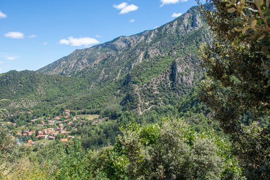 discovery of the fauna and flora of Pyrenes, France