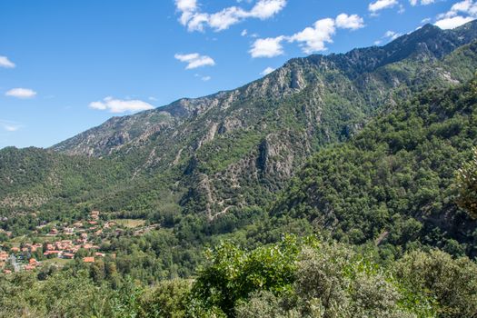 discovery of the fauna and flora of Pyrenes, France