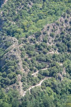 discovery of the fauna and flora of Pyrenes, France