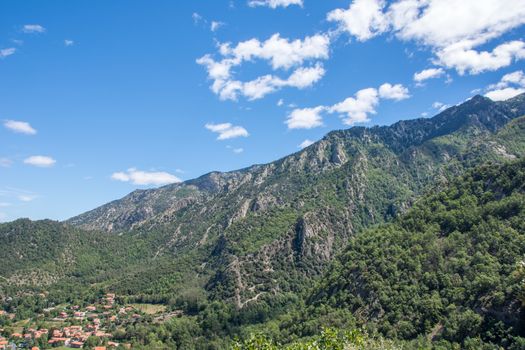 discovery of the fauna and flora of Pyrenes, France