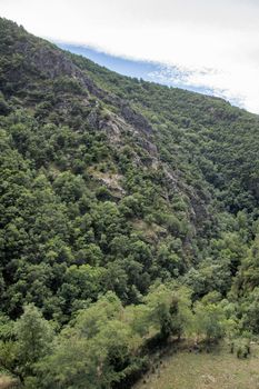 discovery of the eastern Pyrenes, its fauna and flora, region of France