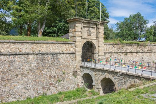 discovery of the eastern Pyrenes, its fauna and flora, region of France
