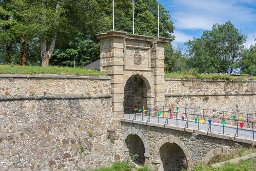 discovery of the eastern Pyrenes, its fauna and flora, region of France