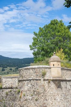 discovery of the eastern Pyrenes, its fauna and flora, region of France