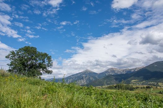 discovery of the eastern Pyrenes, its fauna and flora, region of France