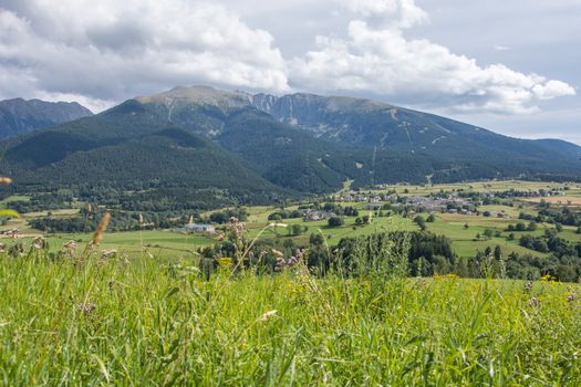 discovery of the eastern Pyrenes, its fauna and flora, region of France
