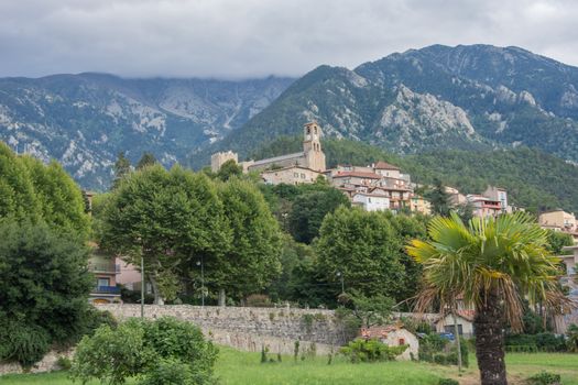 discovery of the eastern Pyrenes, its fauna and flora, region of France