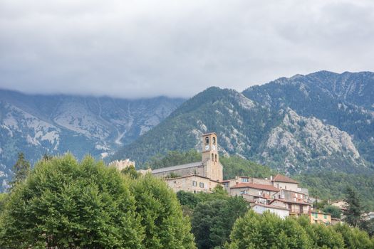 discovery of the eastern Pyrenes, its fauna and flora, region of France
