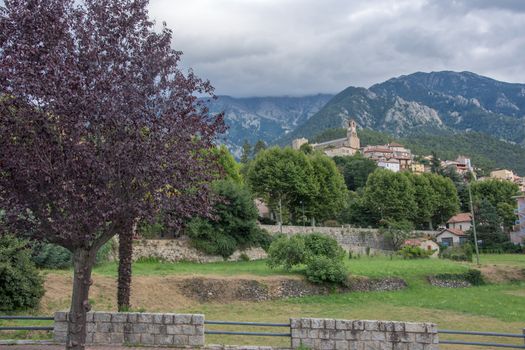 discovery of the eastern Pyrenes, its fauna and flora, region of France