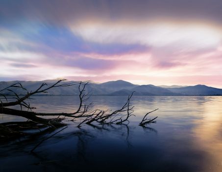 In images Trees in flooded water in Lake Maggiore after heavy rains, Northern Italy