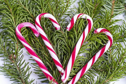 Concept of christmas drink .Red and white candy canes .
