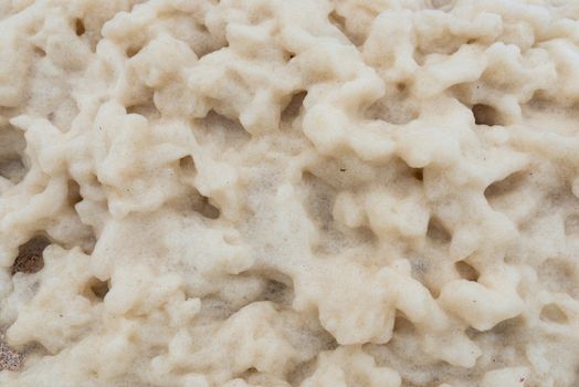 Closeup shot of foam on a beach. The foam can have natural reasons or can be a result of the sea water pollution.