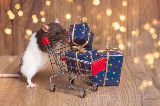 Rat symbol of the year.Cute pet rat with a shopping cart with a gifts.New Year 2020. White rat near shopping trolley with box of gifts.