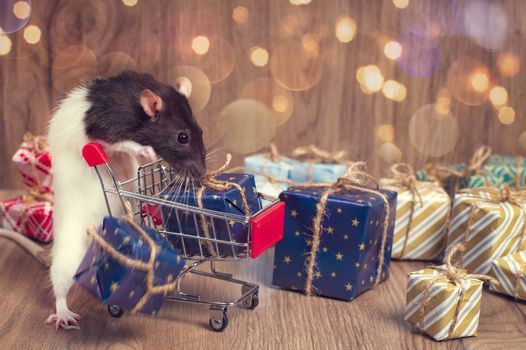 A Cute rat stands near a shopping cart with Christmas or New Year's gifts . New year shopping concept.Symbol of the year 2020. Year of the rat.