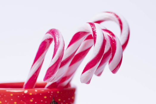 Concept of christmas drink .Red and white candy canes .