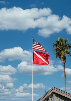 American and Dive Flags in Tropical Setting