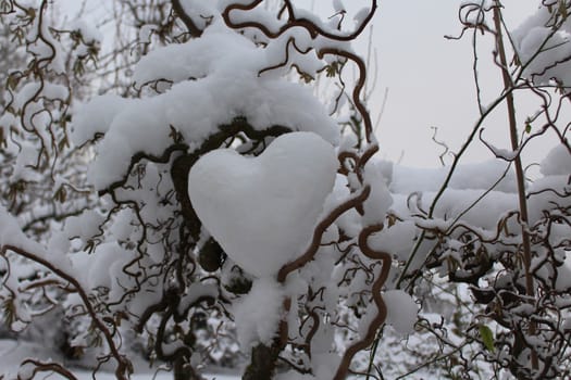 The picture shows a snow heart in the willow