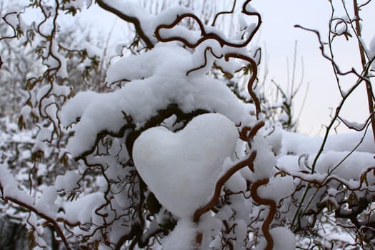 The picture shows a snow heart in the willow