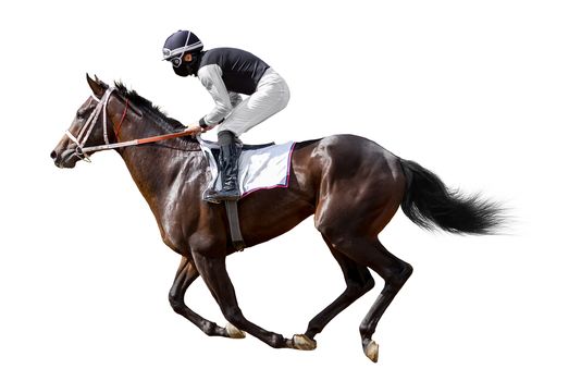 Racing, background, horses, racetrack isolated on white background