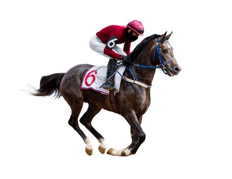 Racing, background, horses, racetrack isolated on white background