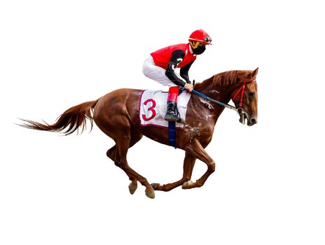 Racing, background, horses, racetrack isolated on white background