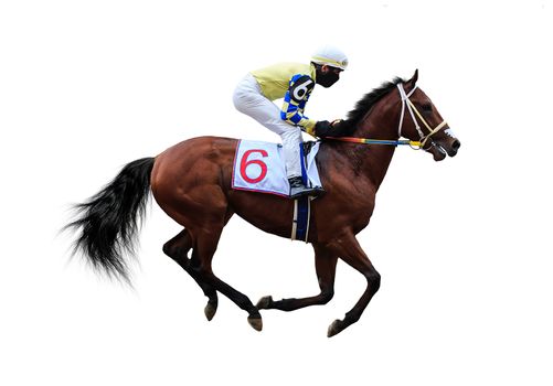 Racing, background, horses, racetrack isolated on white background