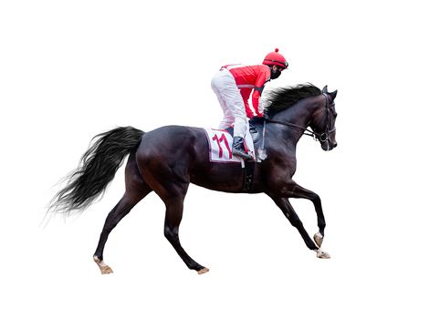 Racing, background, horses, racetrack isolated on white background