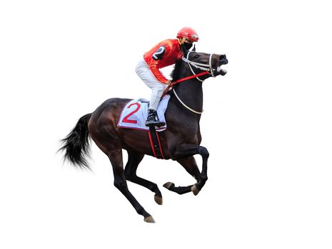 Racing, background, horses, racetrack isolated on white background