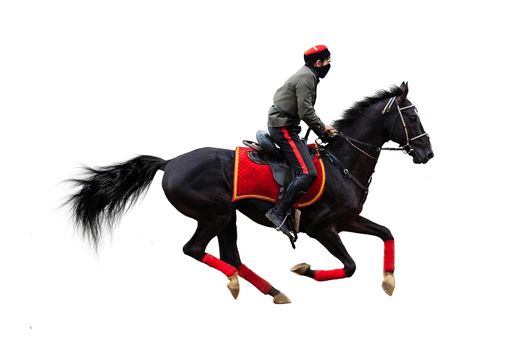 Racing, background, horses, racetrack isolated on white background