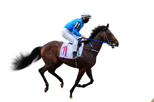 Racing, background, horses, racetrack isolated on white background