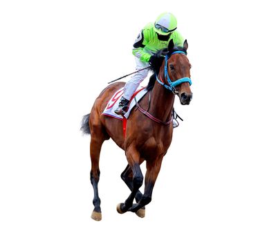 Racing, background, horses, racetrack isolated on white background