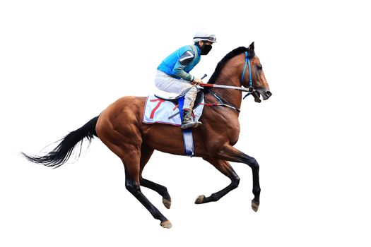 Racing, background, horses, racetrack isolated on white background