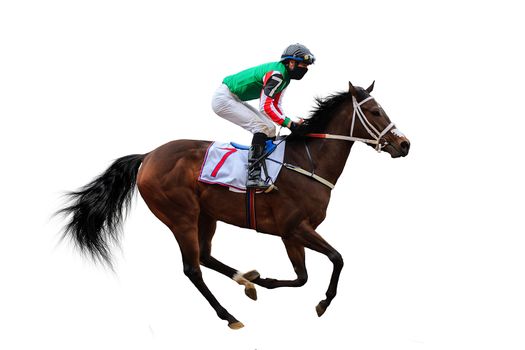 Racing, background, horses, racetrack isolated on white background