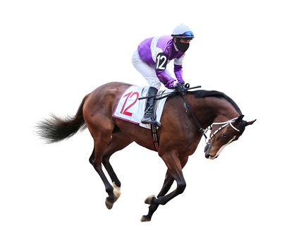 Racing, background, horses, racetrack isolated on white background