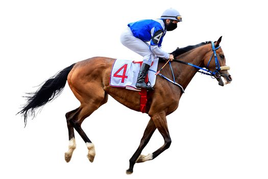 Racing, background, horses, racetrack isolated on white background