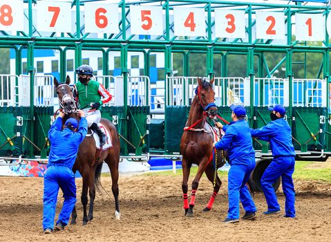 horses driven to the stables for the race