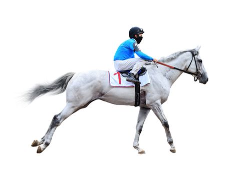 Racing, background, horses, racetrack isolated on white background