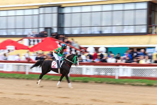 horse racing, abstract background, blurred contours